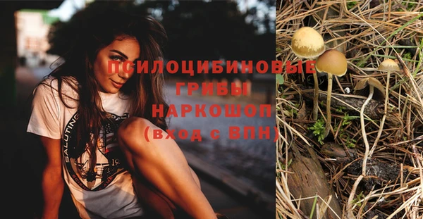 дживик Бугульма