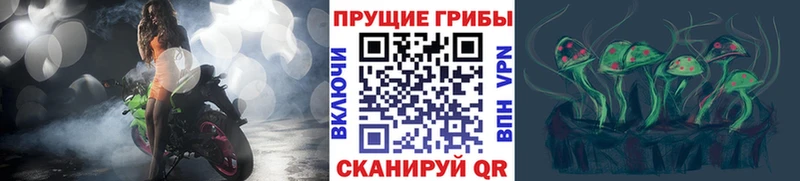 что такое наркотик Георгиевск Псилоцибиновые грибы прущие грибы