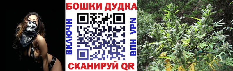 Конопля гибрид  Георгиевск 